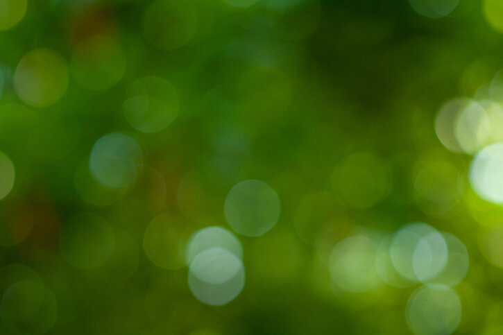 Foto: Adobe Stock/Nabodin
