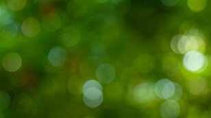 Foto: Adobe Stock/Nabodin