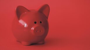 Das rote Sparschwein ist das Markenzeichen der Sparkasse. (Foto: S-Com/getty)